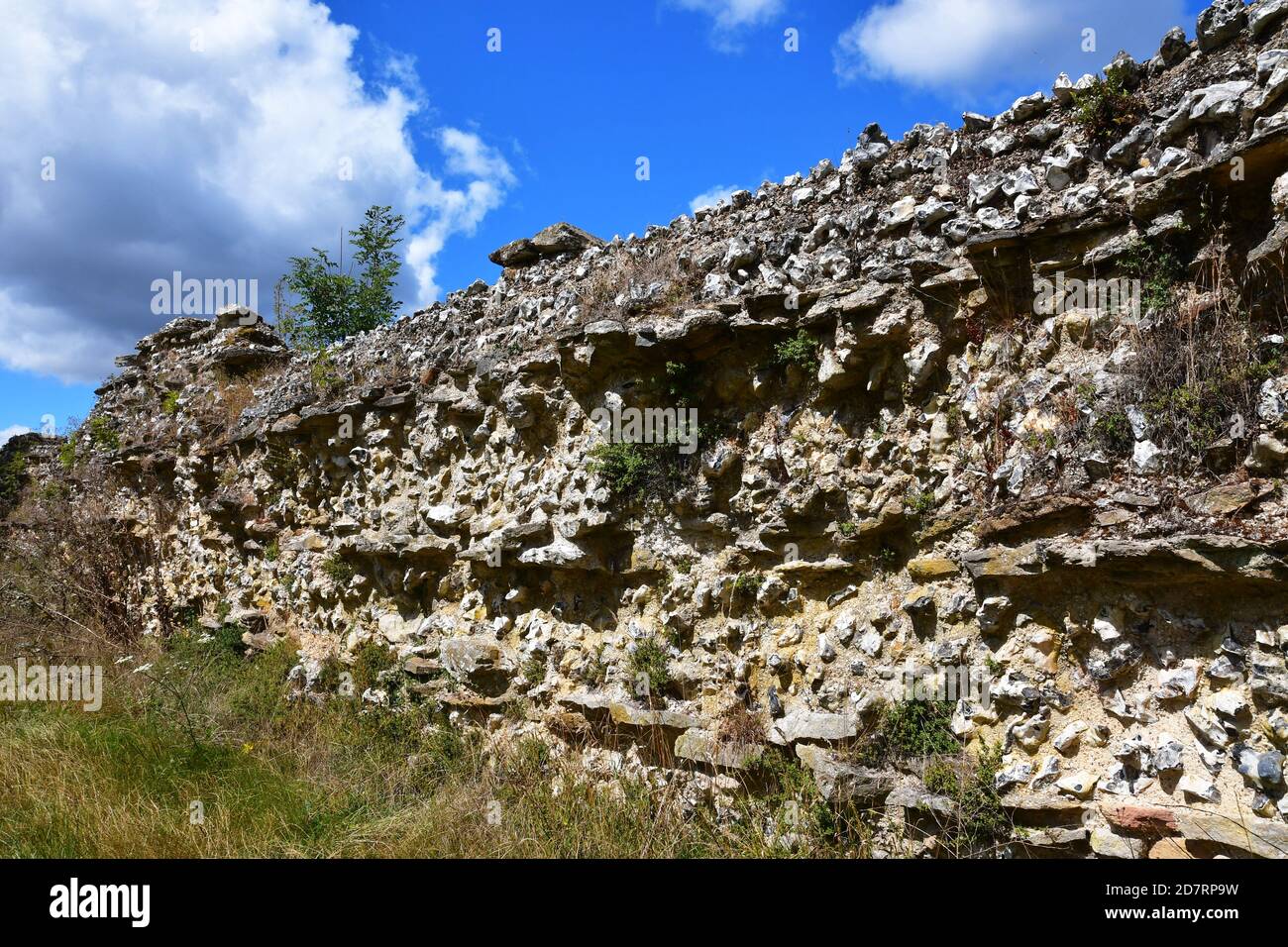 Silchester Roman City Walls, Silchester, Hampshire, Regno Unito Foto Stock