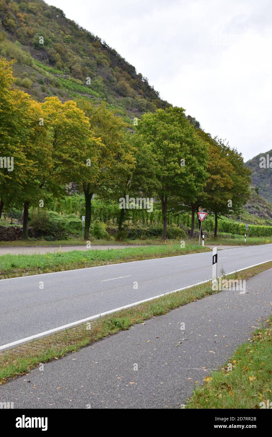 Mosel valle strada con alberi d'autunno Foto Stock