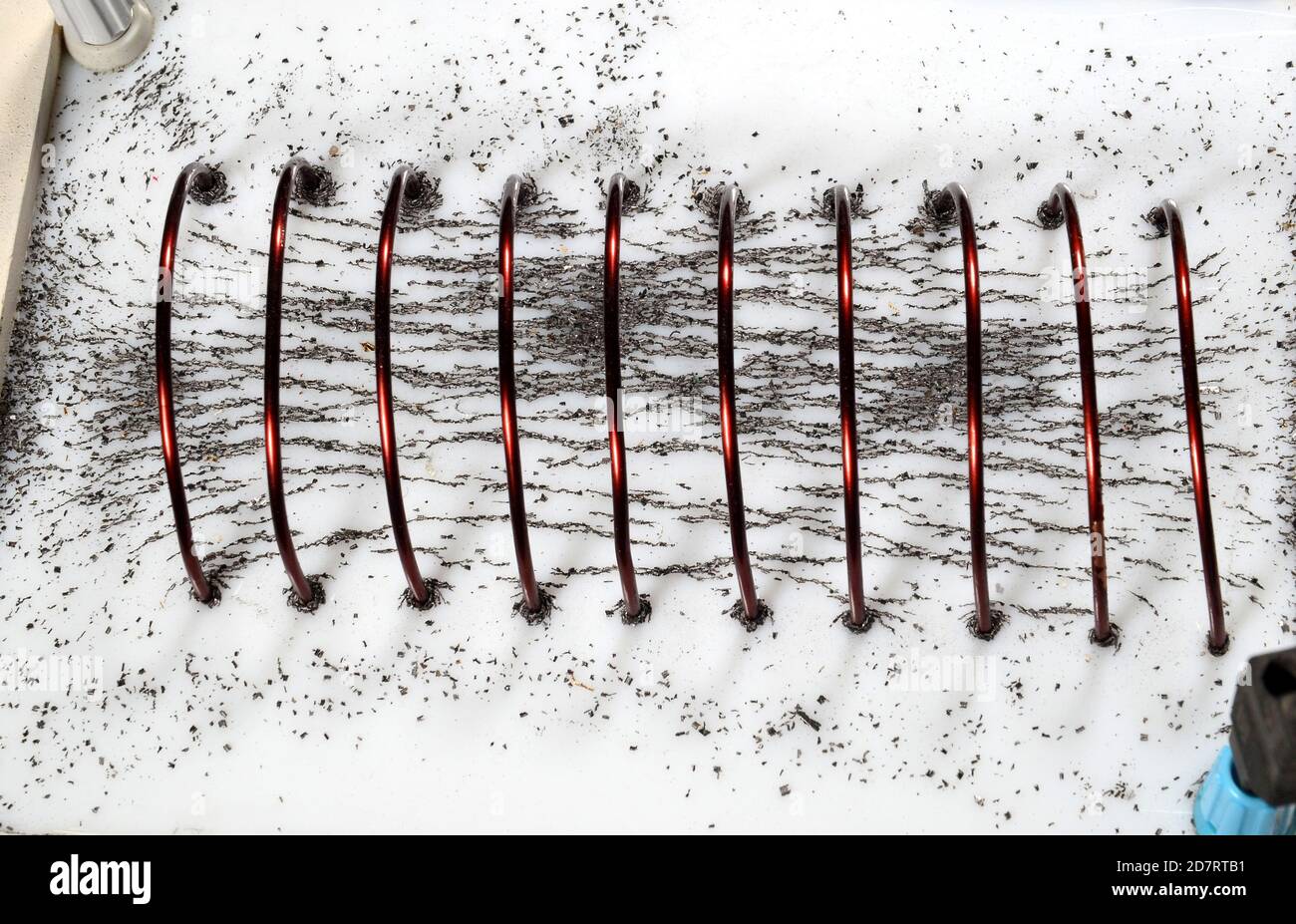 Polvere di ferro mostra le linee magnetiche di forza in una bobina, in cui una corrente di 20 ampere di flusso. Foto Stock