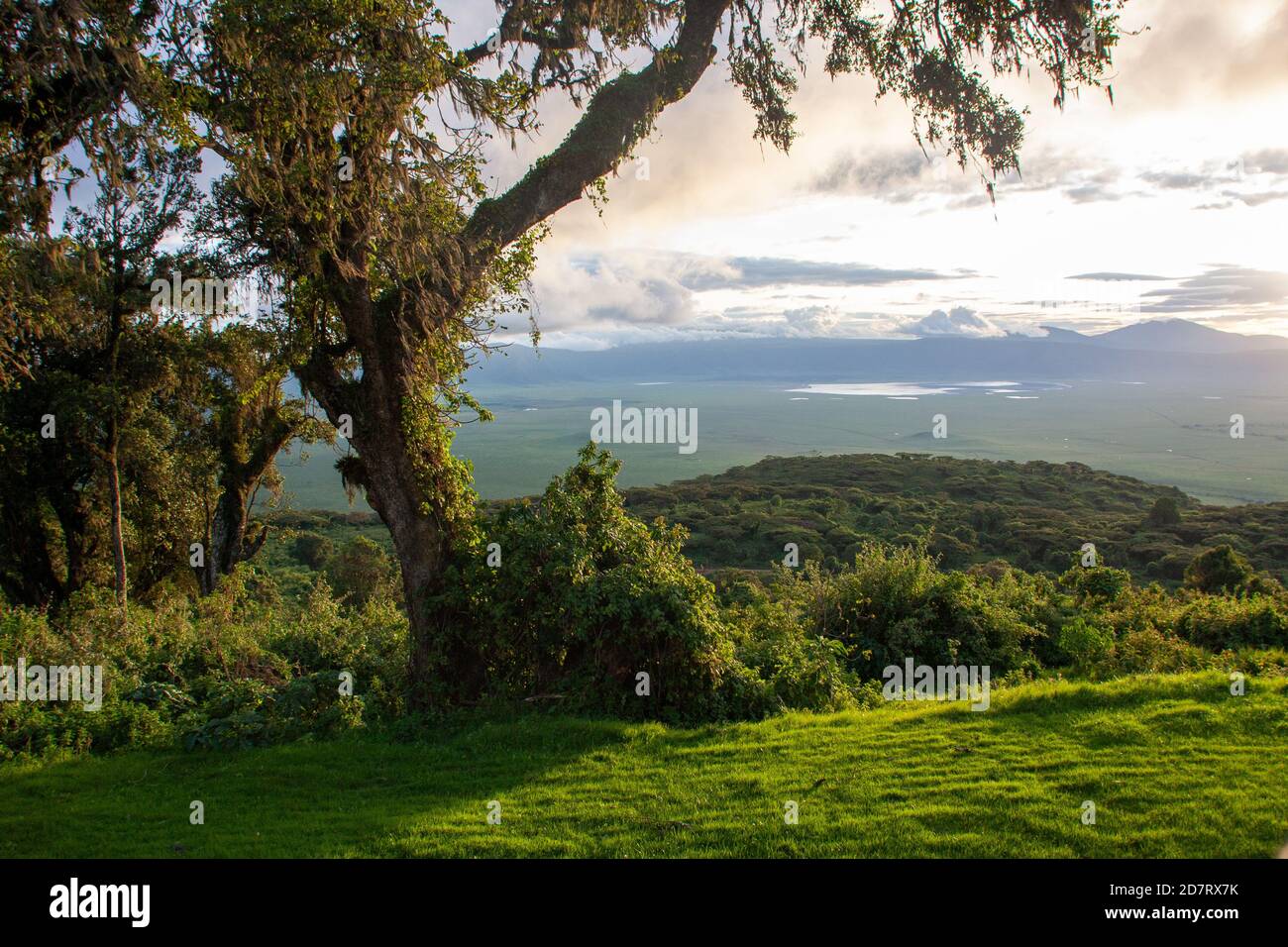 L'area protetta di Ngorongoro è un'area protetta e patrimonio dell'umanità, situata a 180 km (110 mi) ad ovest di Arusha, nell'area delle Cratere Highlands di Tan Foto Stock