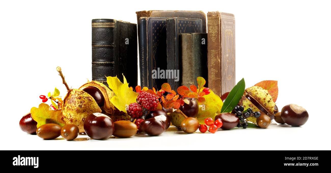 Libri antichi foglie e frutti d'autunno isolati su sfondo bianco - Panorama Foto Stock