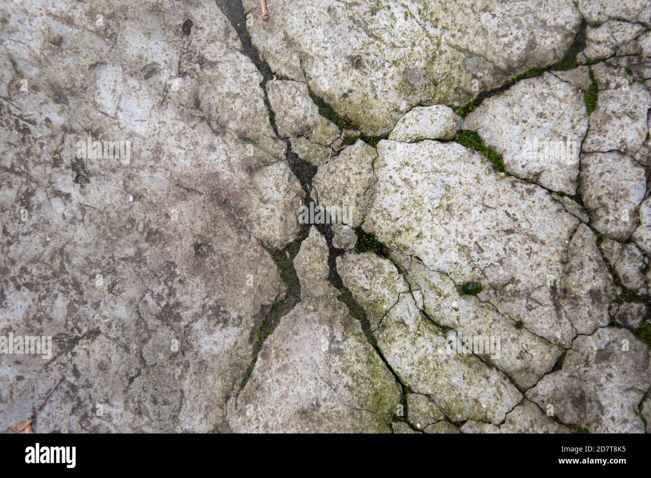Calcestruzzo fessurato con muschio nelle crepe. Sfondo. Foto Stock