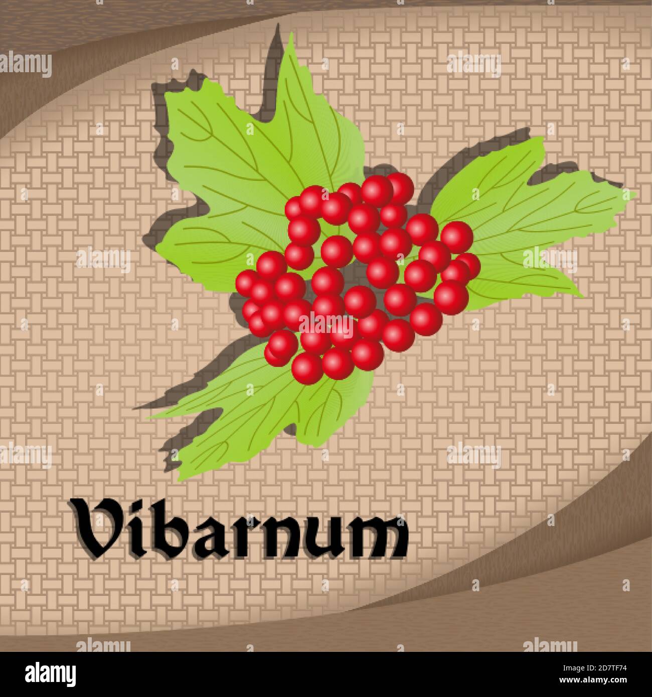 Etichetta adesiva con vibarnum stagionante immagine vettoriale stile vintage Illustrazione Vettoriale