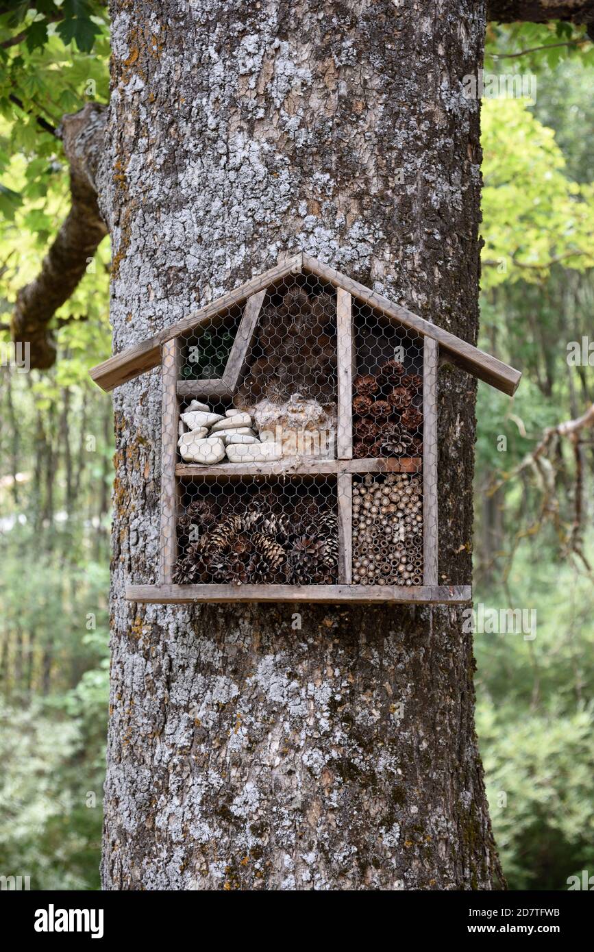 Insect Hotel, Bug House o Insect House che offre un sito di nesting per gli insetti attaccati a tronco di albero Foto Stock