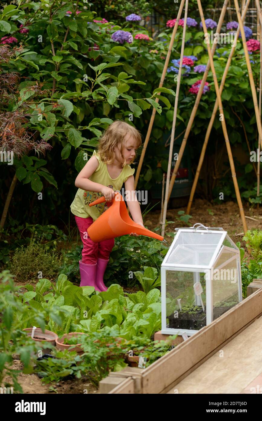 Tre anni ragazza annaffiatura piante in giardino. Foto Stock