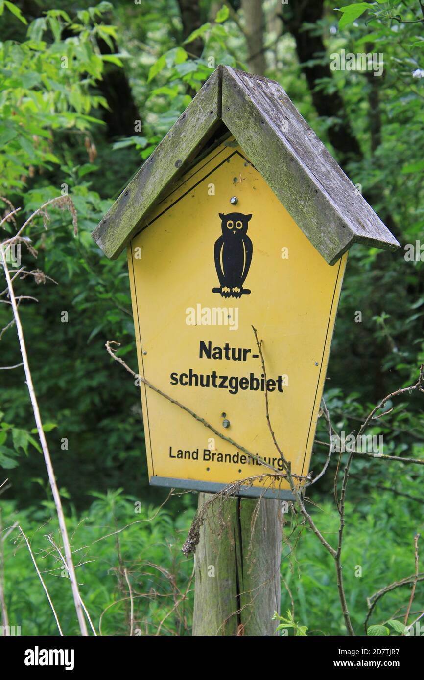 Eine Eule auf einem Swild weist auf ein Naturschutzgebiet nel hin di Brandeburgo. Foto Stock