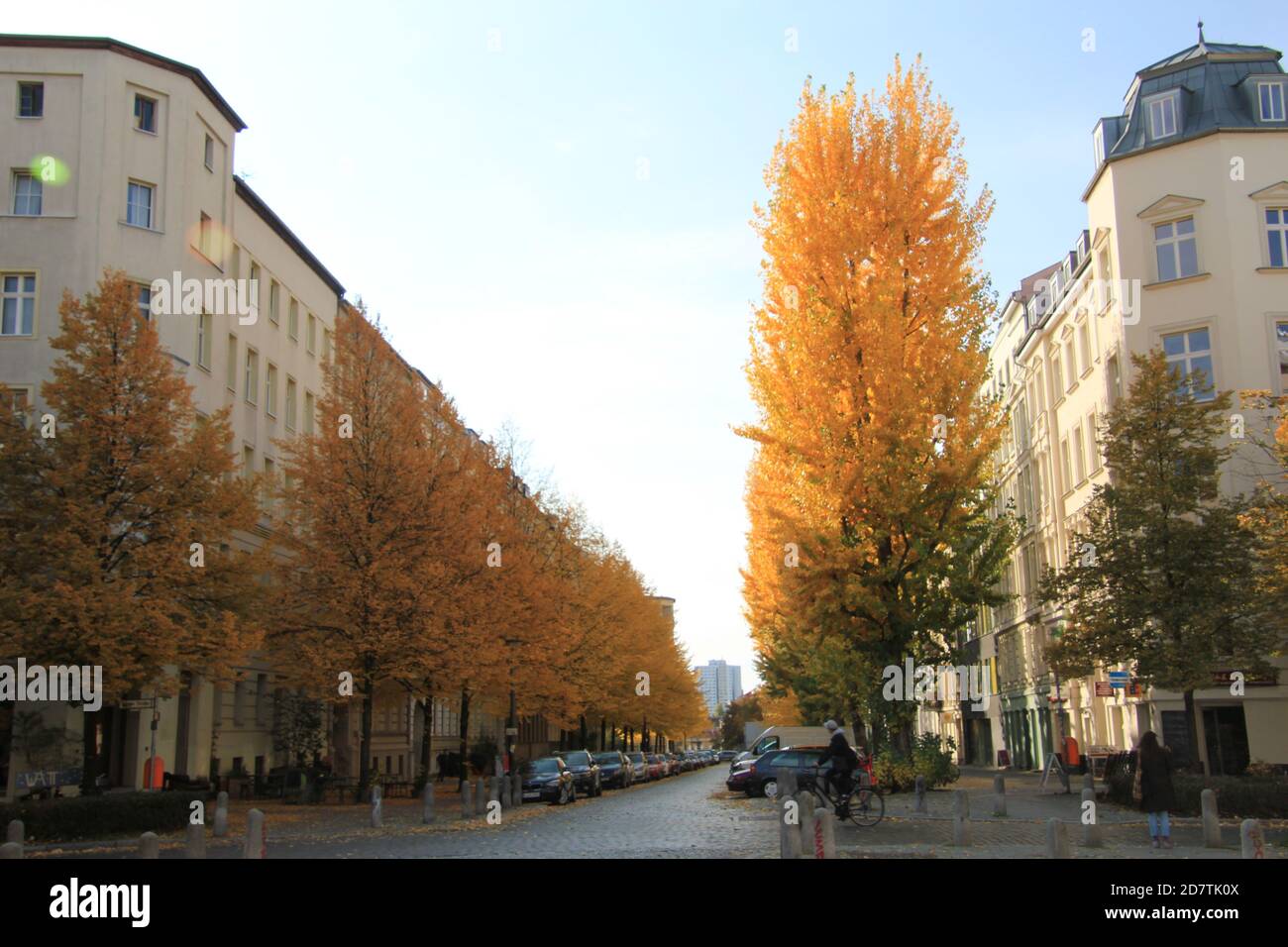 Wohnhäuser a Berlino Prenzlauer Berg Foto Stock