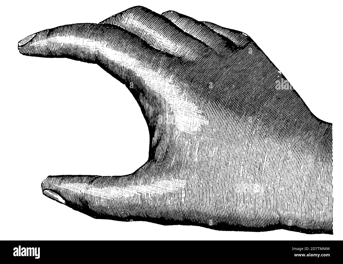 Illustrazione a mano, disegno in bianco e nero del 19th° secolo Foto Stock