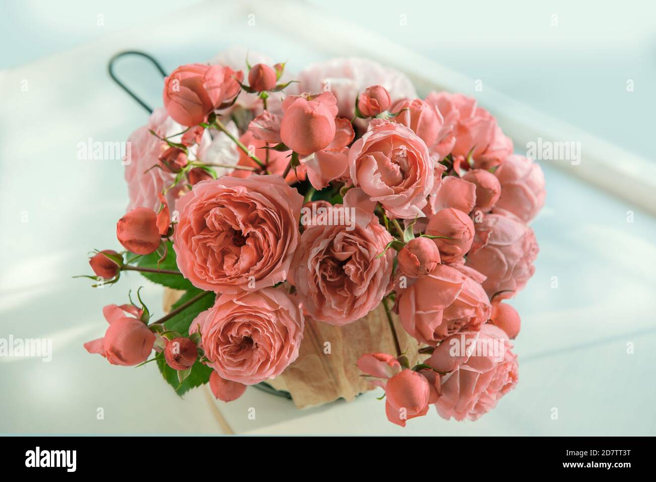 Bouquet di rose inglesi rosa in un cesto su uno sfondo chiaro tavolo. Primo  piano di boccioli di rosa, messa a fuoco selettiva. Primo piano Foto stock  - Alamy