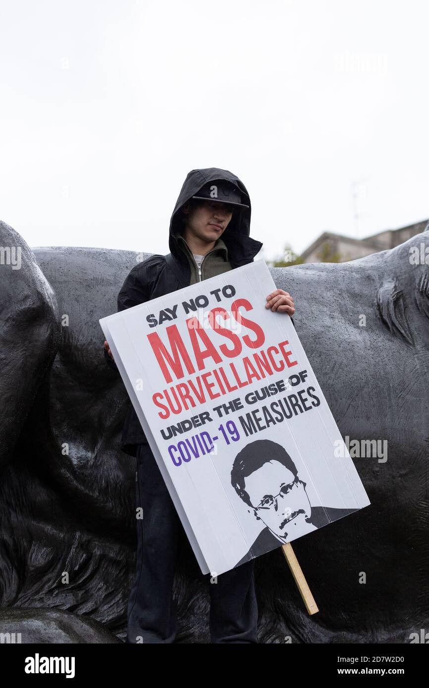 Un protetore con un cartello accanto a una delle statue dei Leoni Landseer in Trafalgar Square durante un rally anti-lock-down a Londra, 24 ottobre 2020 Foto Stock