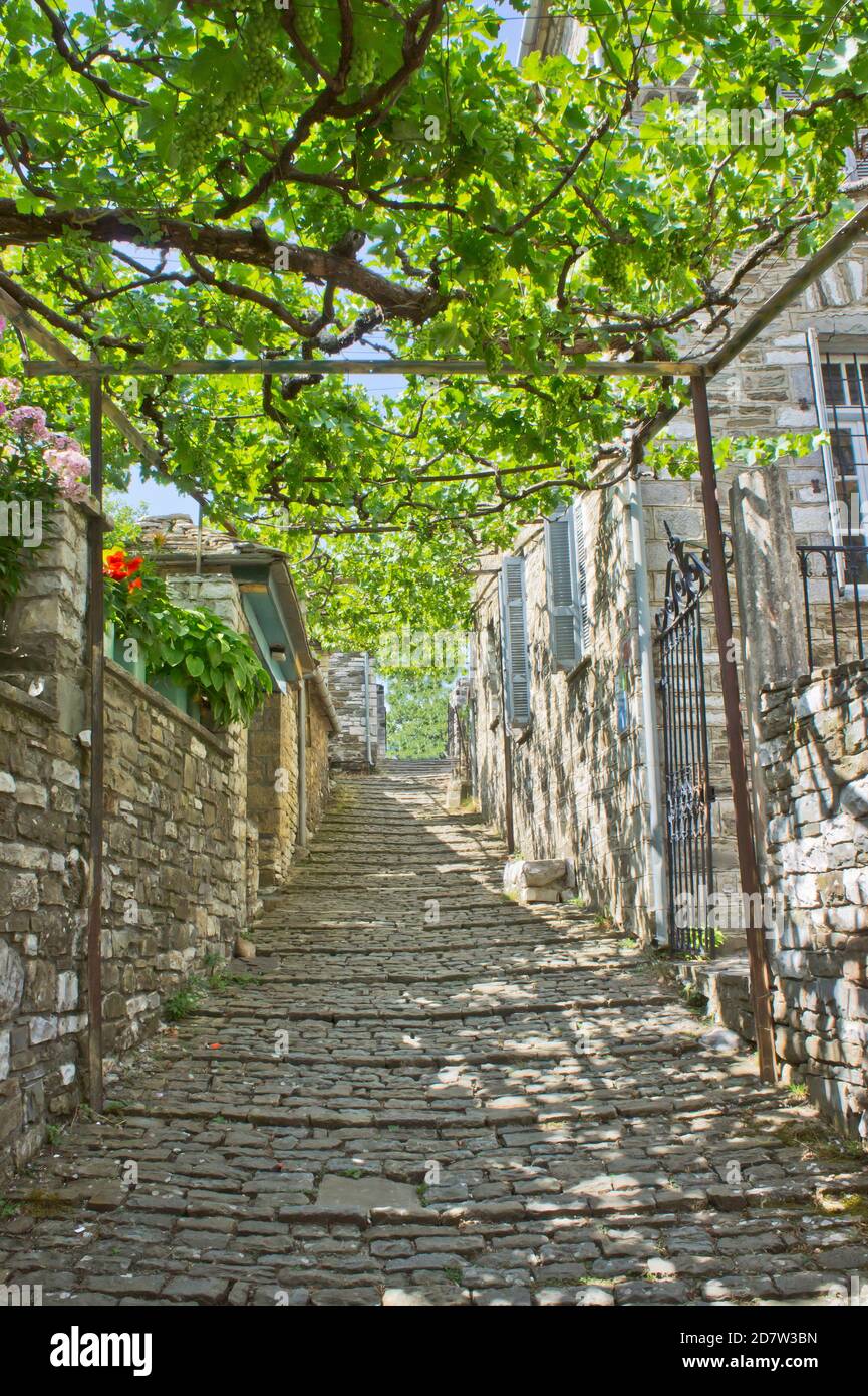 Papingo Epiro, Old Stone Village vista strada, Grecia, Europa Foto Stock