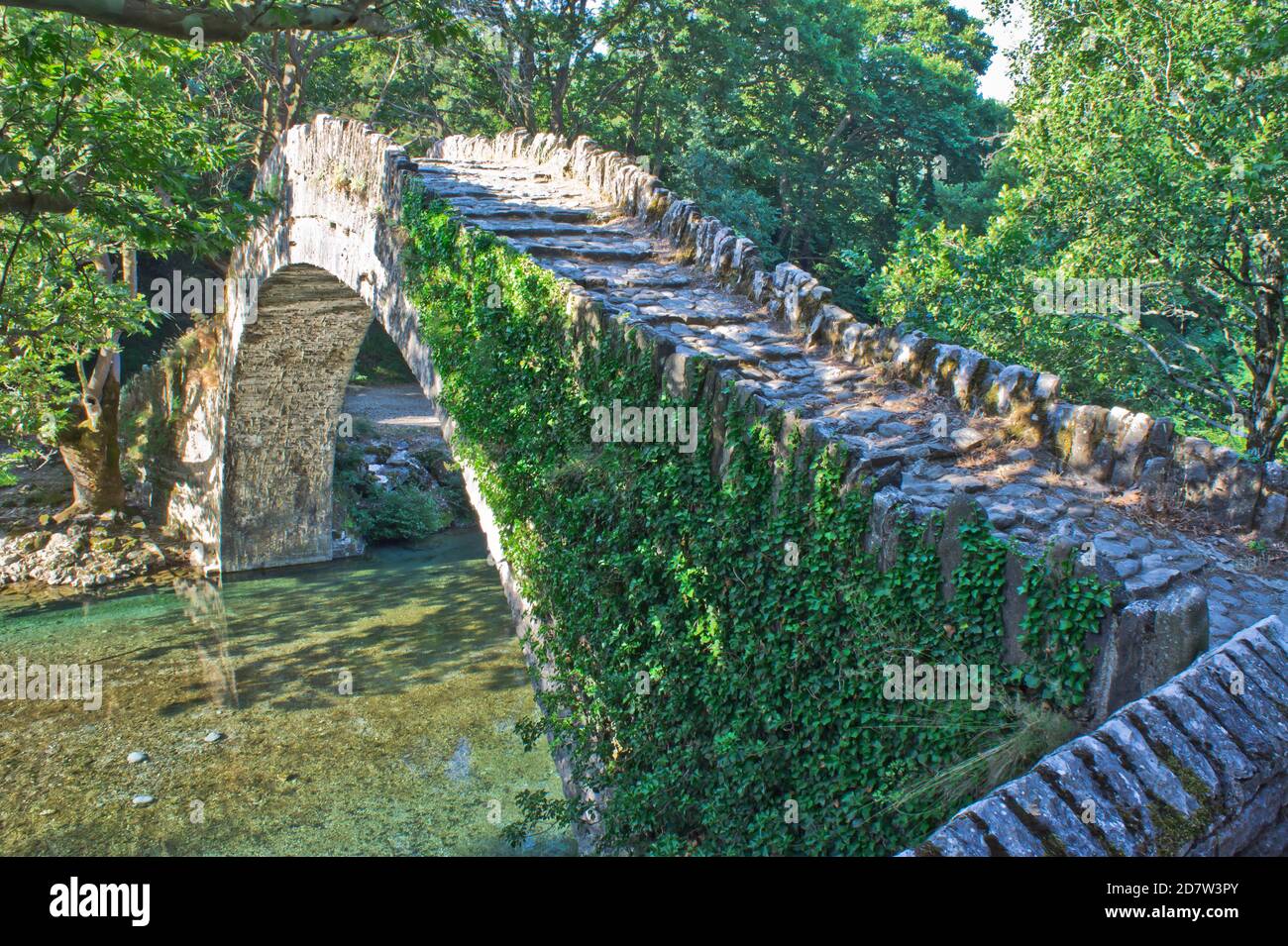 Vecchio ponte di pietra, fiume Aoos, Epiro, Grecia, Europa Foto Stock