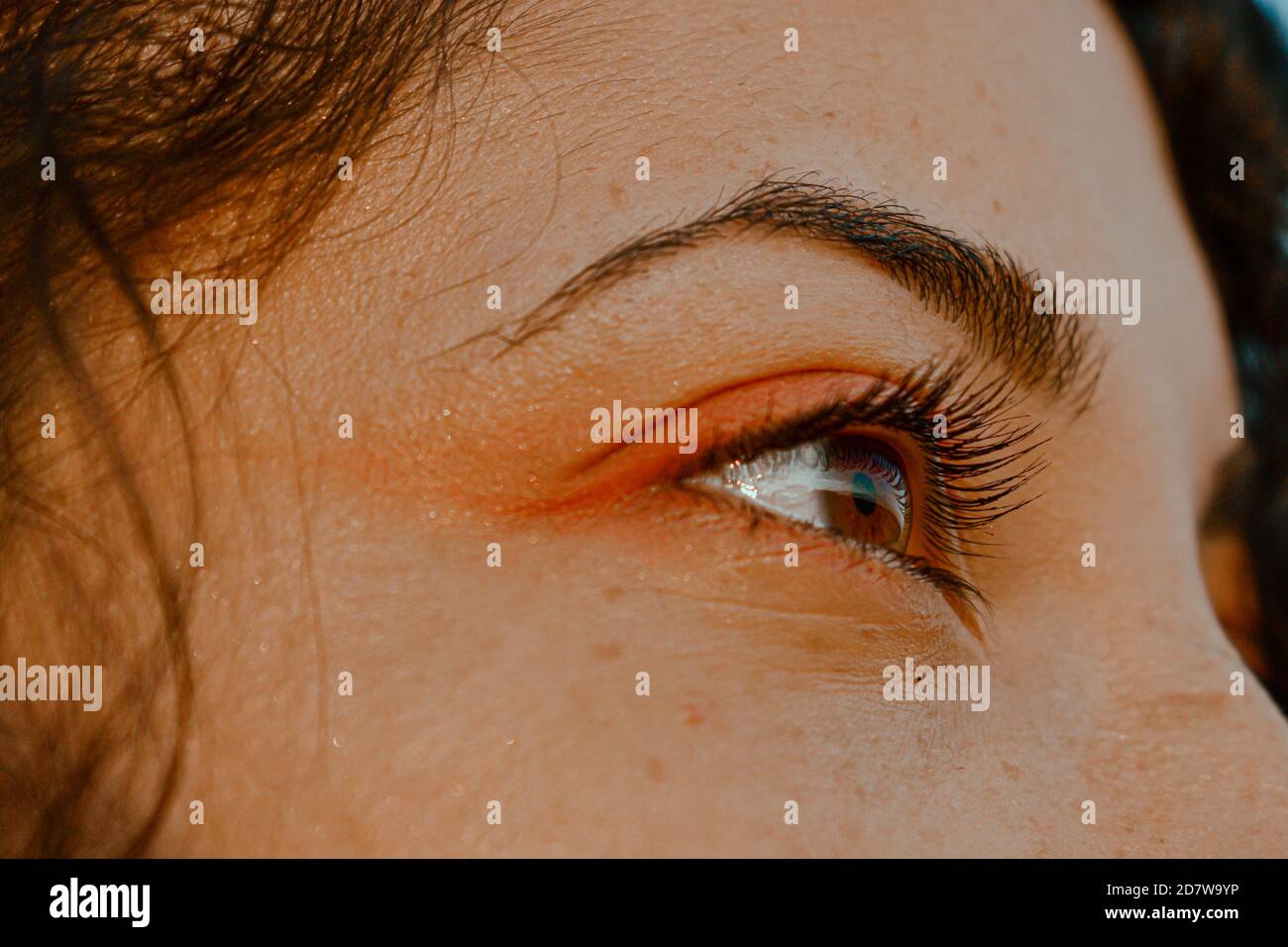 Closeup di un occhio marrone femmina Foto Stock