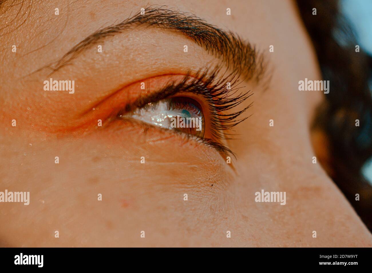 Closeup di un occhio marrone femmina Foto Stock