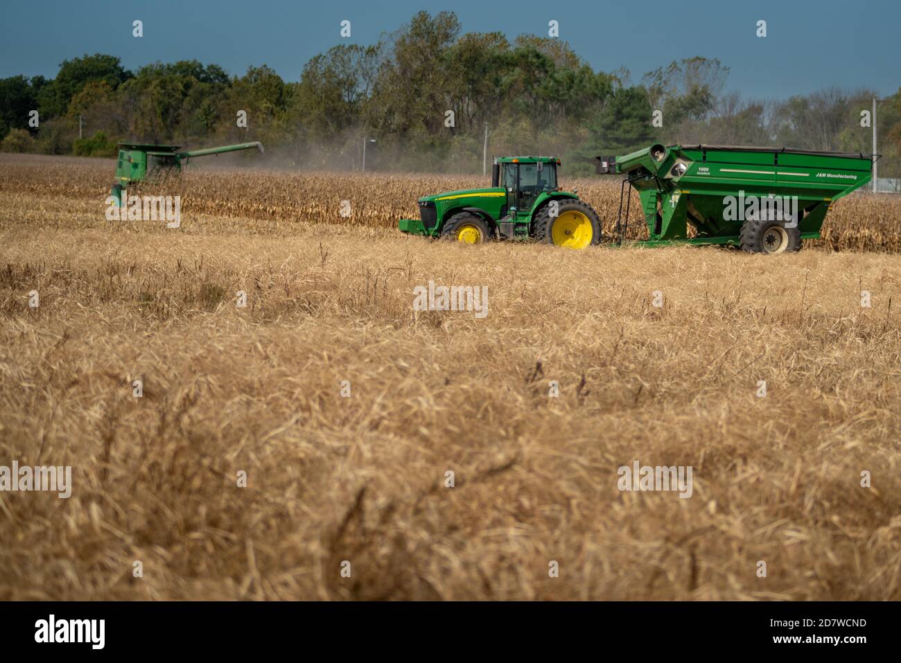 Libano, il--Ott 17, 2020; vendemmiatrici verdi e trattori che raccolgono campi di mais secchi d'oro sull'azienda agricola del Midwest. Foto Stock