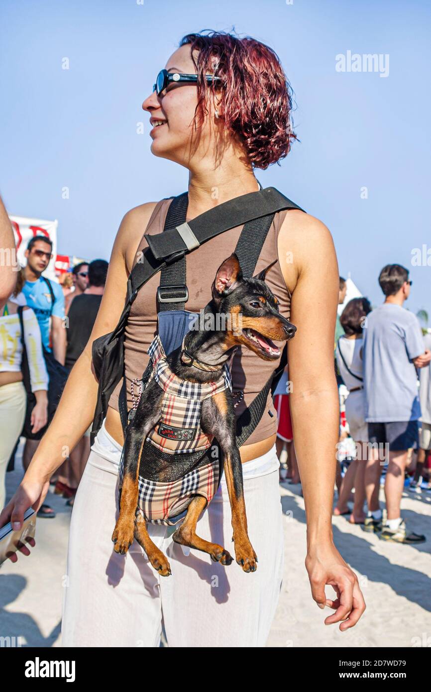 Miami Beach Florida, South Beach, Ocean Drive, Lummus Park, Volleypaloooza Festival musica libera concerto donna donna donna donna donna porta in miniatura Doberman cane, imbracatura, Foto Stock