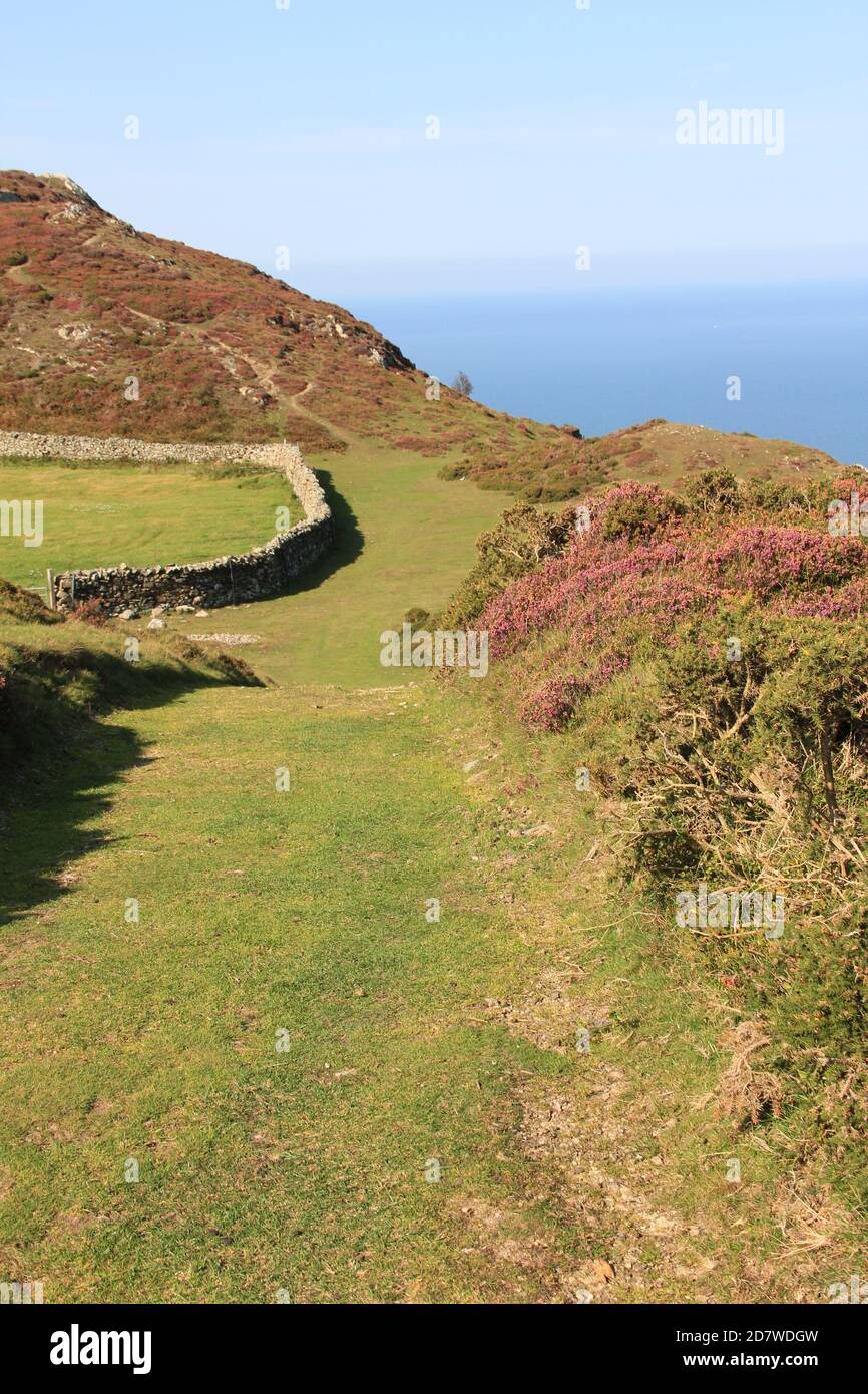 Penmaenmawr Foto Stock