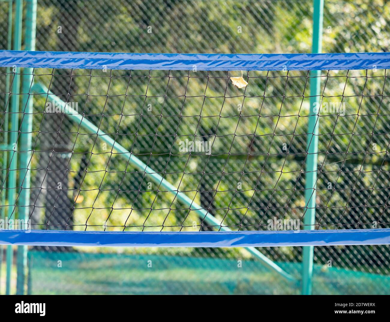 Rete di pallavolo al parco con foglie cadute in sole giorno d'autunno Foto Stock