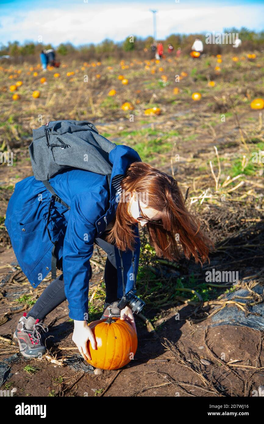 Una giovane donna che raccoglie una zucca a un pezzetto di zucca, pronta per Halloween. Foto Stock
