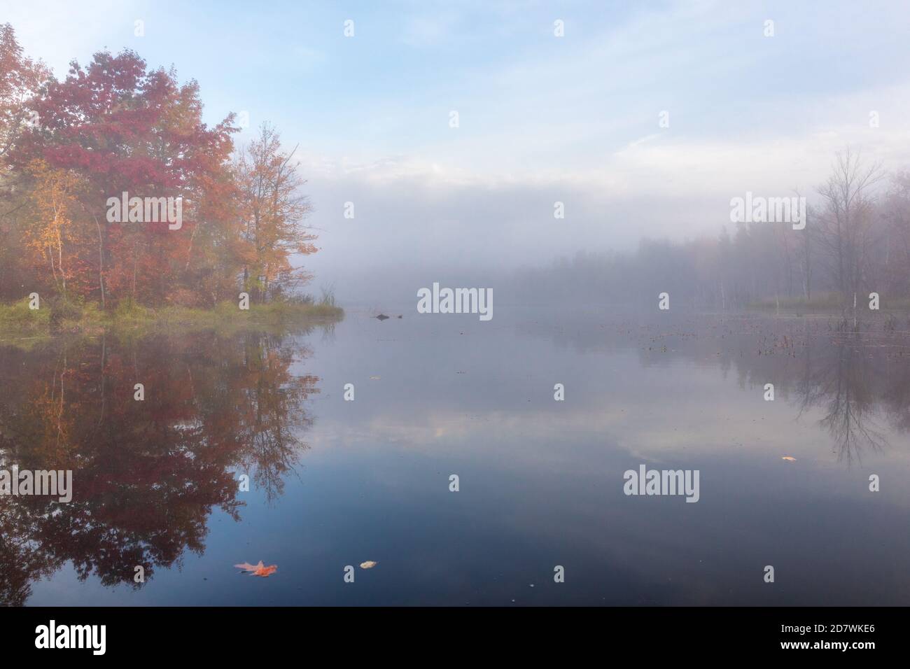 Una nebbiosa mattina d'autunno su un lago selvaggio nel Wisconsin settentrionale. Foto Stock