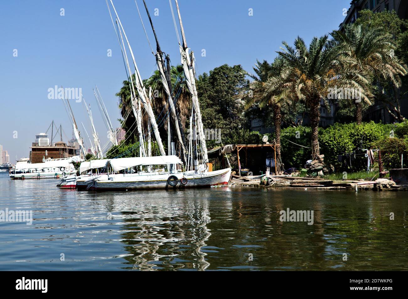 Barche sulla riva del fiume Nilo, Egitto. Foto Stock