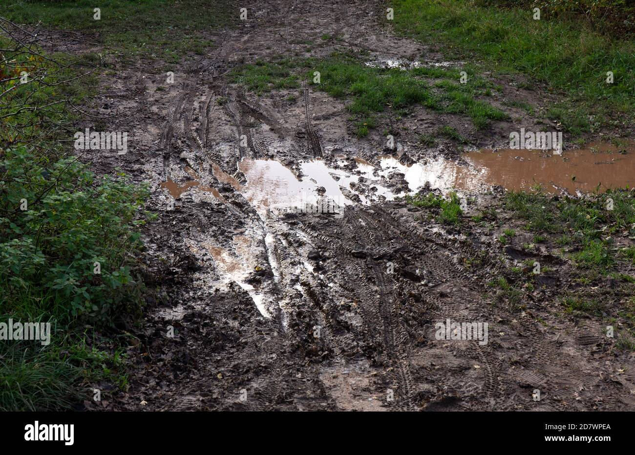 Immagine di una traccia di sporco fangosa spessa Foto Stock