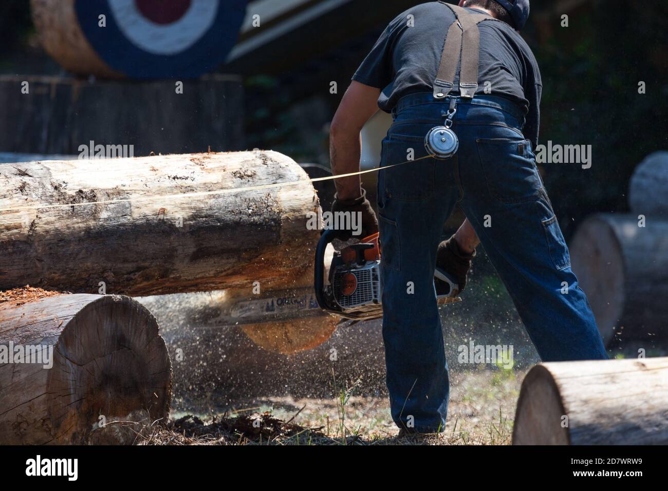 Prospect, Oregon / USA - 16 agosto 2014: Un uomo compete in un evento motosega per il miglior tempo al Prospect Hillbilly Jamboree e Timber Carnival Foto Stock