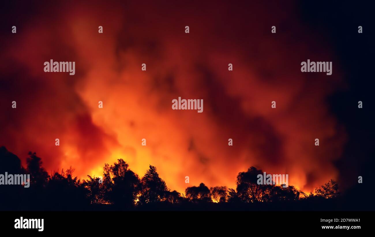 Panorama di fuoco forestale di notte, fuoco selvatico dopo stagione estiva secca, natura ardente. Foto Stock