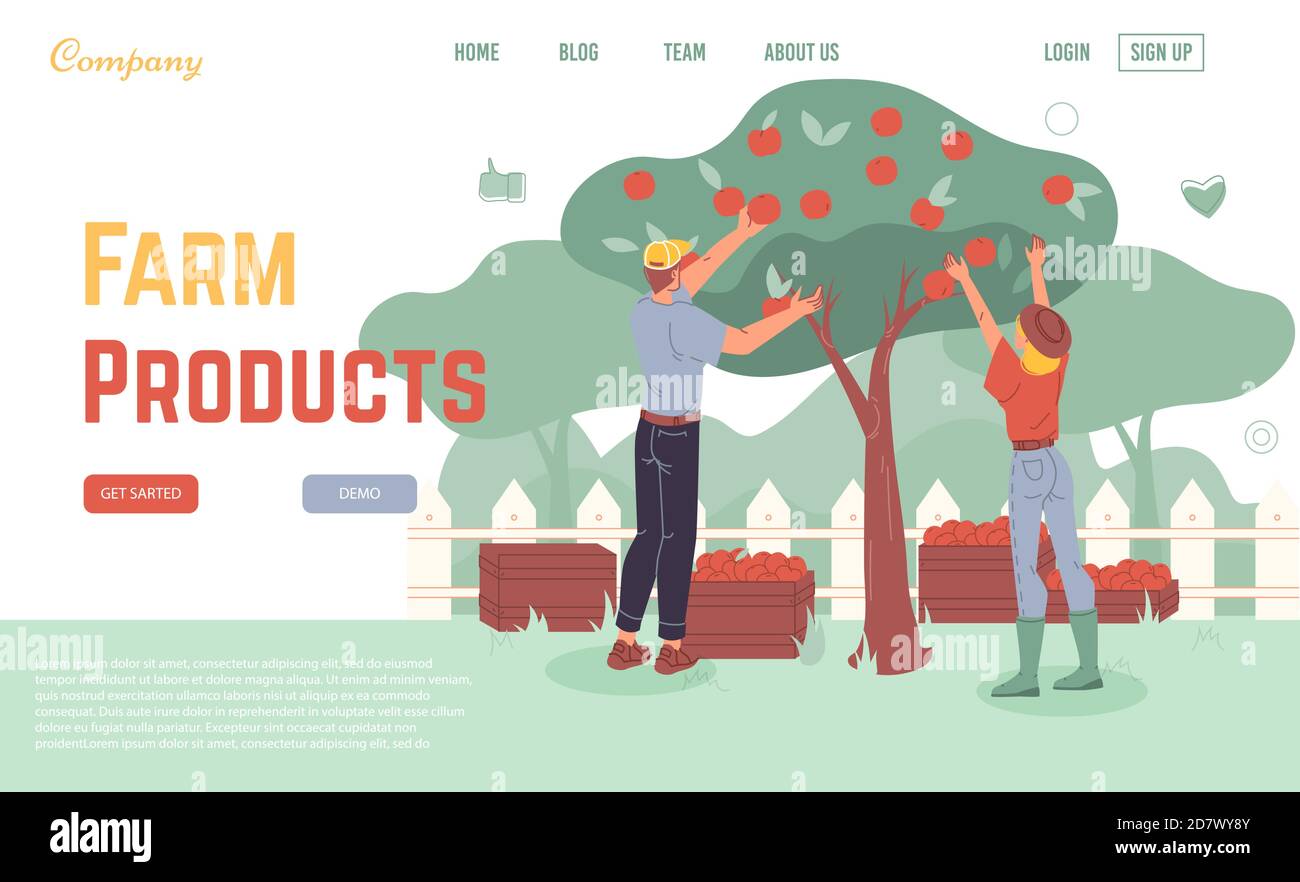 Progettazione della pagina di destinazione del prodotto agricolo per la raccolta stagionale Illustrazione Vettoriale