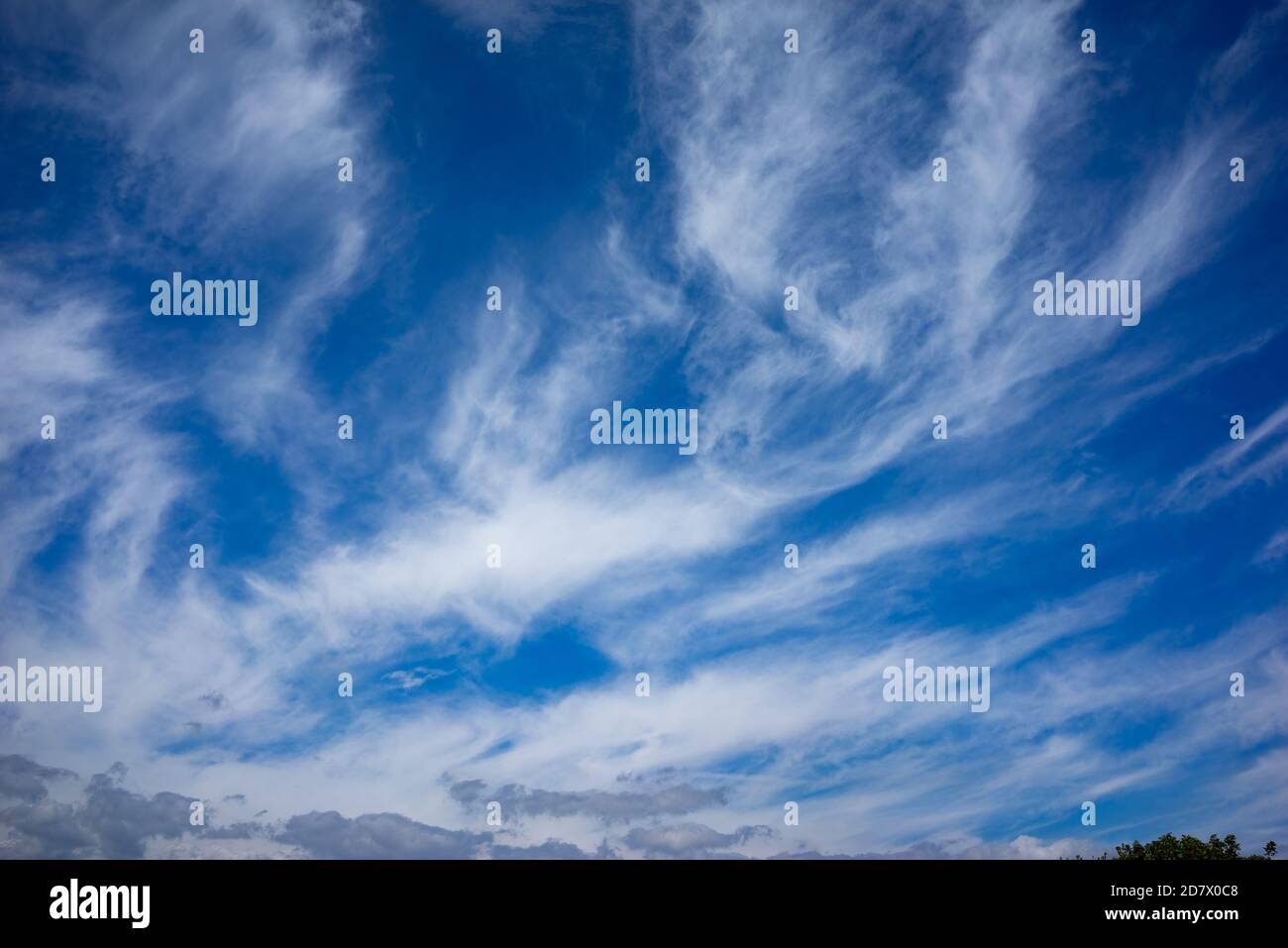 Cielo azzurro estivo con nuvole bianche ad alta quota. In meteorologia una nuvola è un aerosol costituito da una massa visibile di minuscole goccioline liquide, congelate Foto Stock