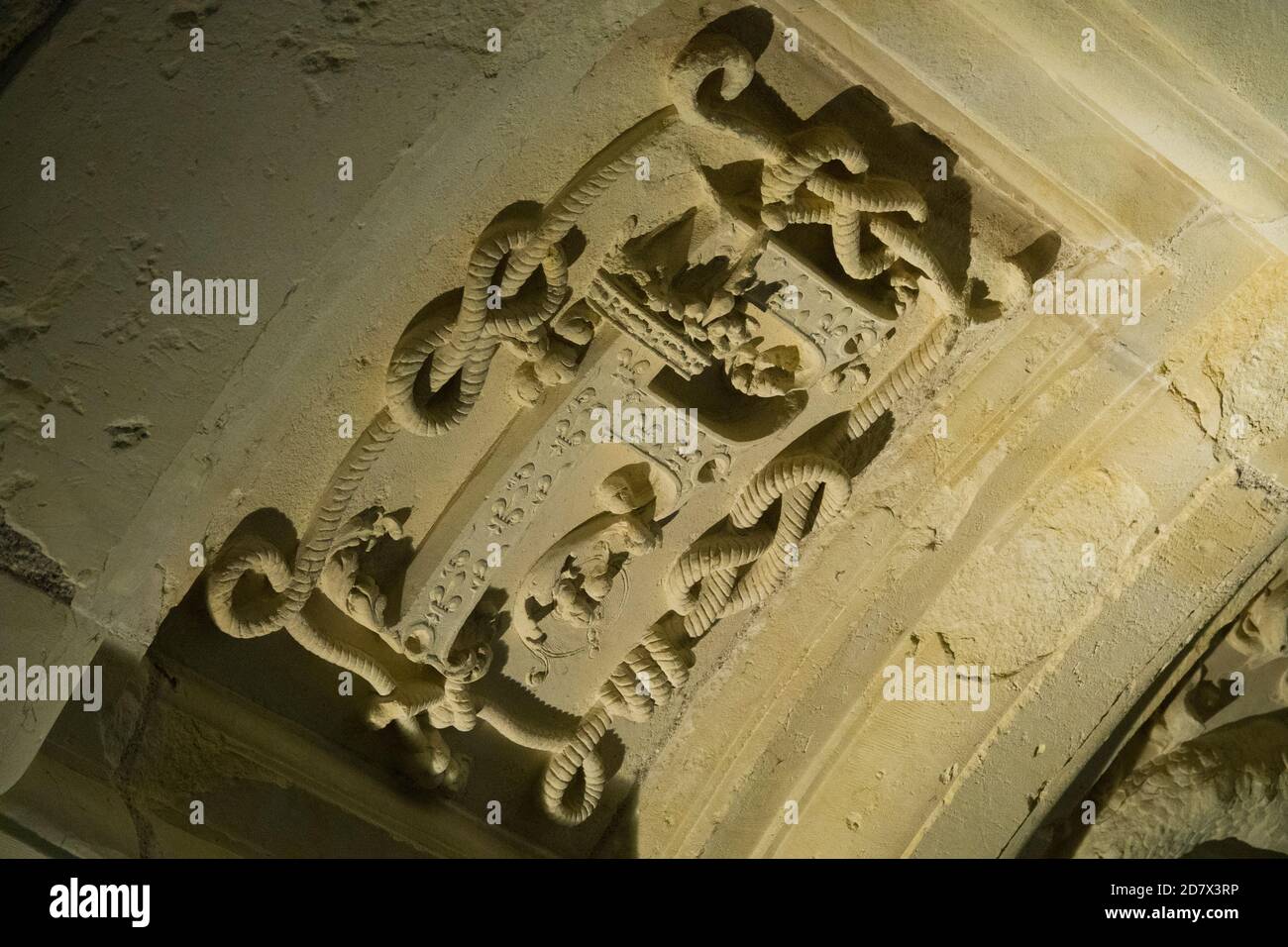 Francia, Loir-et-Cher (41), Chambord (patrimonio mondiale dell'UNESCO), castello reale rinascimentale, 2 ° piano, volte da camera scolpite con monogrammi reali Foto Stock