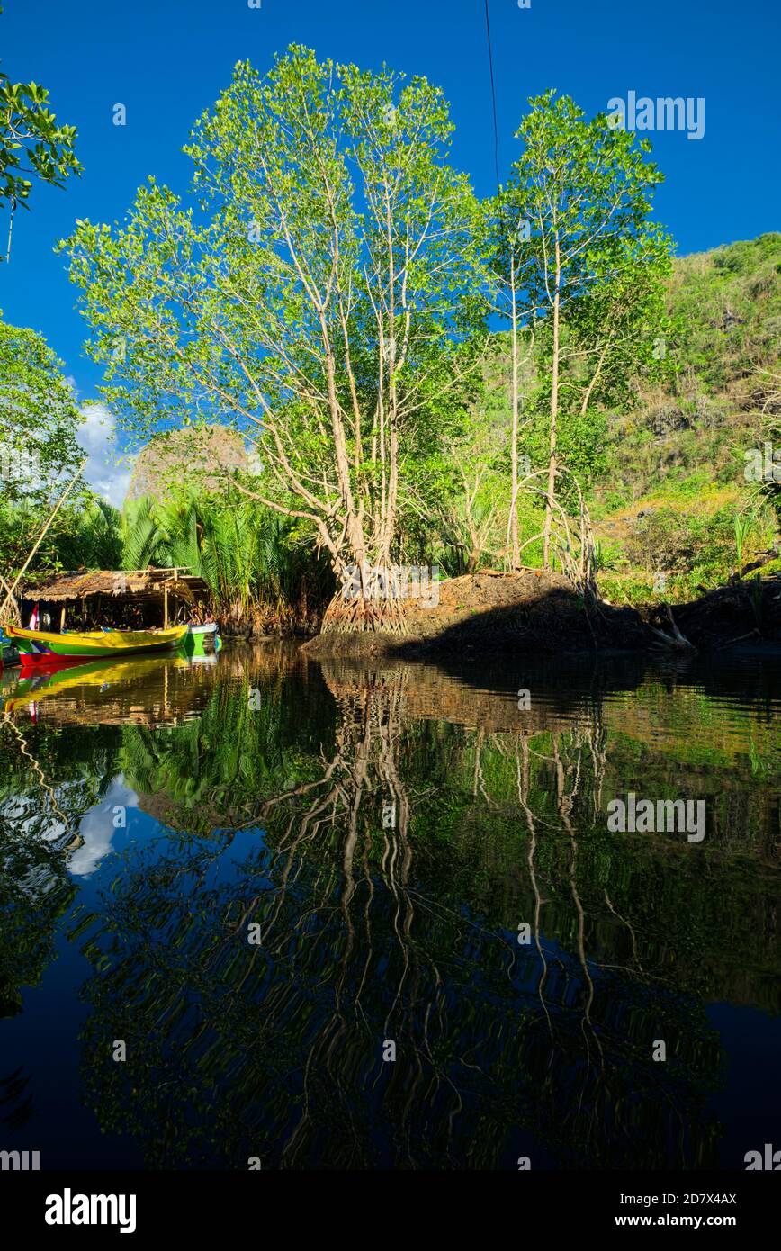 Rammang Rammang Village, situato nel nord della città di Makassar, a circa 50 chilometri o 1,5 ore da Makassar, che si estende su 43,750 ettari tra Foto Stock