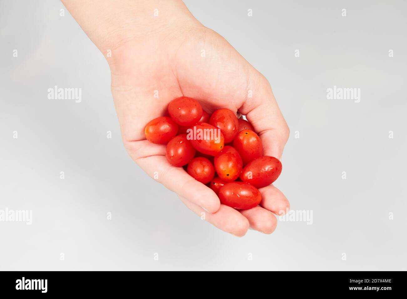 donna che tiene pomodori d'uva su sfondo bianco Foto Stock