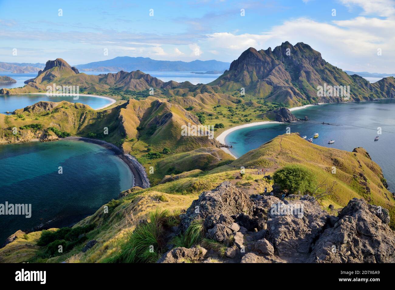 In passato, Padar era una delle isole di Komodo dove vivevano i draghi. Insieme alle attività di caccia illegale da parte dell'essere umano, sono s. Foto Stock