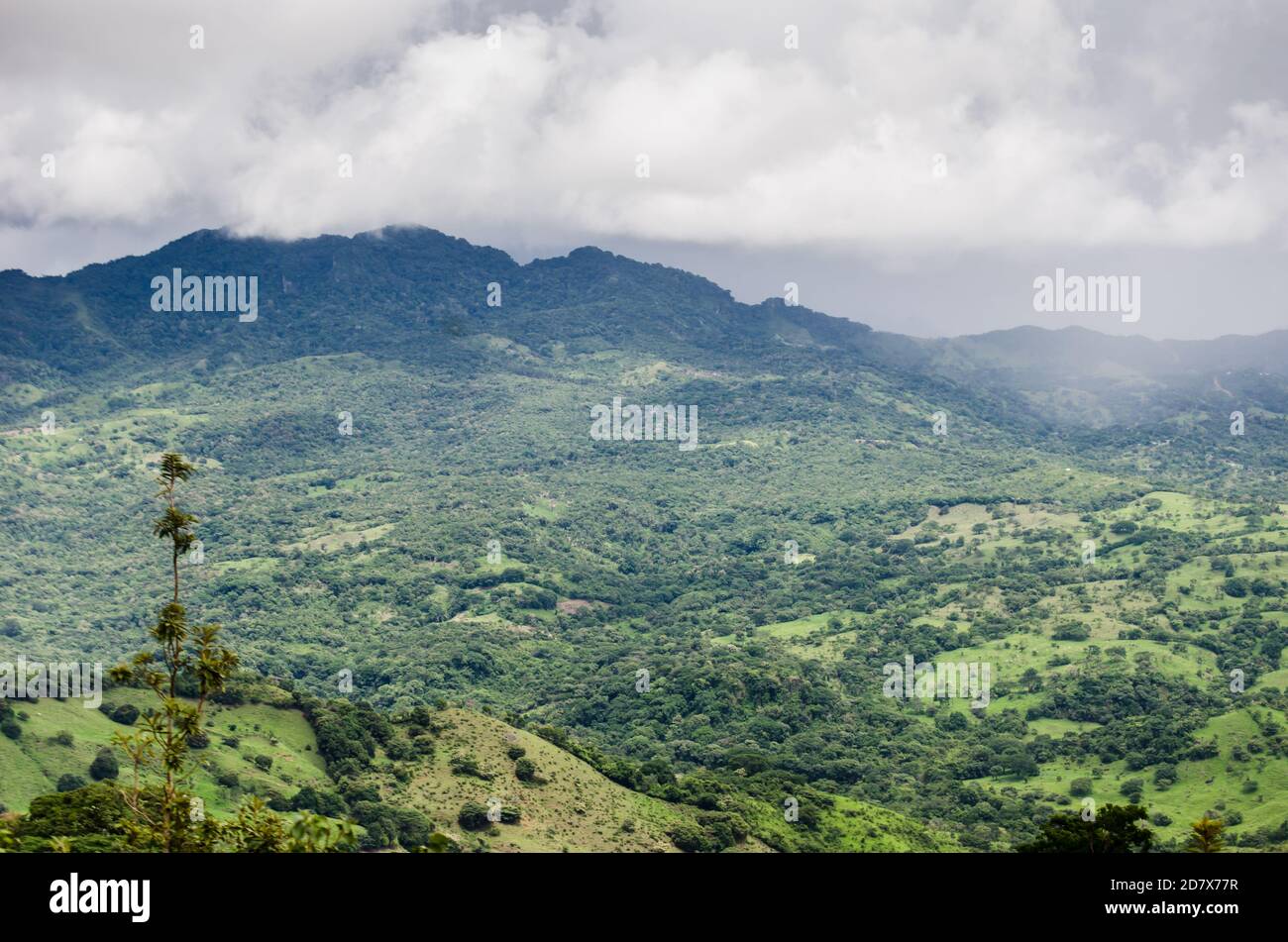 La catena montuosa del Parco Nazionale di Altos de Campana, vista da Sora nel Panama Centrale Foto Stock