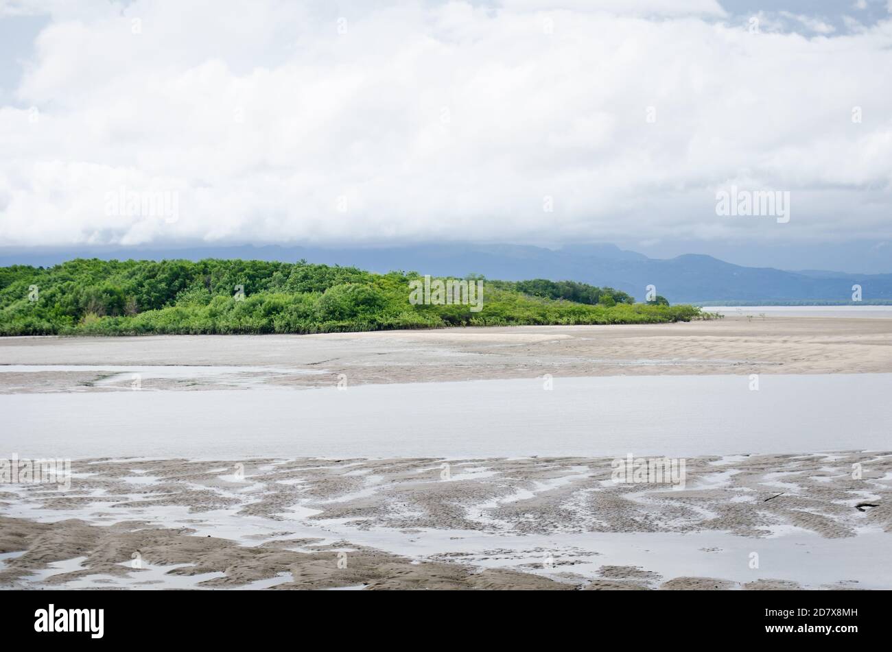 Foresta di mangrovie della baia di Chame Foto Stock