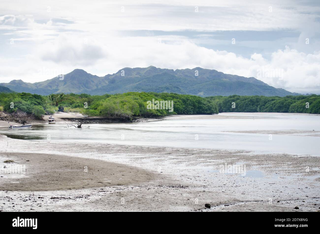 La foresta di mangrovie di Bay of Chame e Chame Hill all'orizzonte Foto Stock