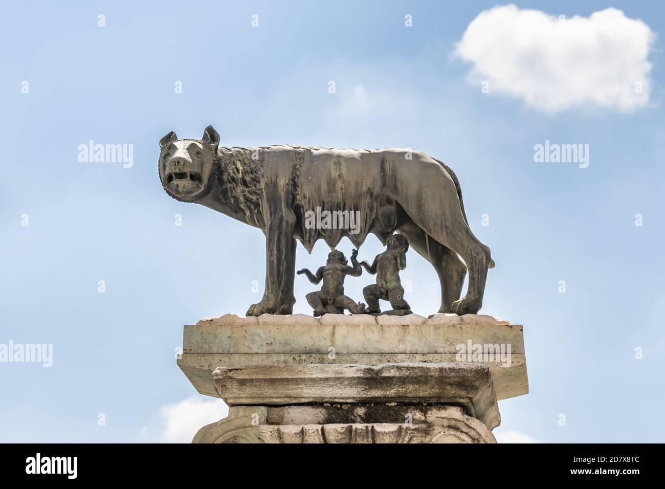 La statua in bronzo del Lupo Capitolino che alimenta Romolo e Remo contro il cielo blu a Roma Foto Stock