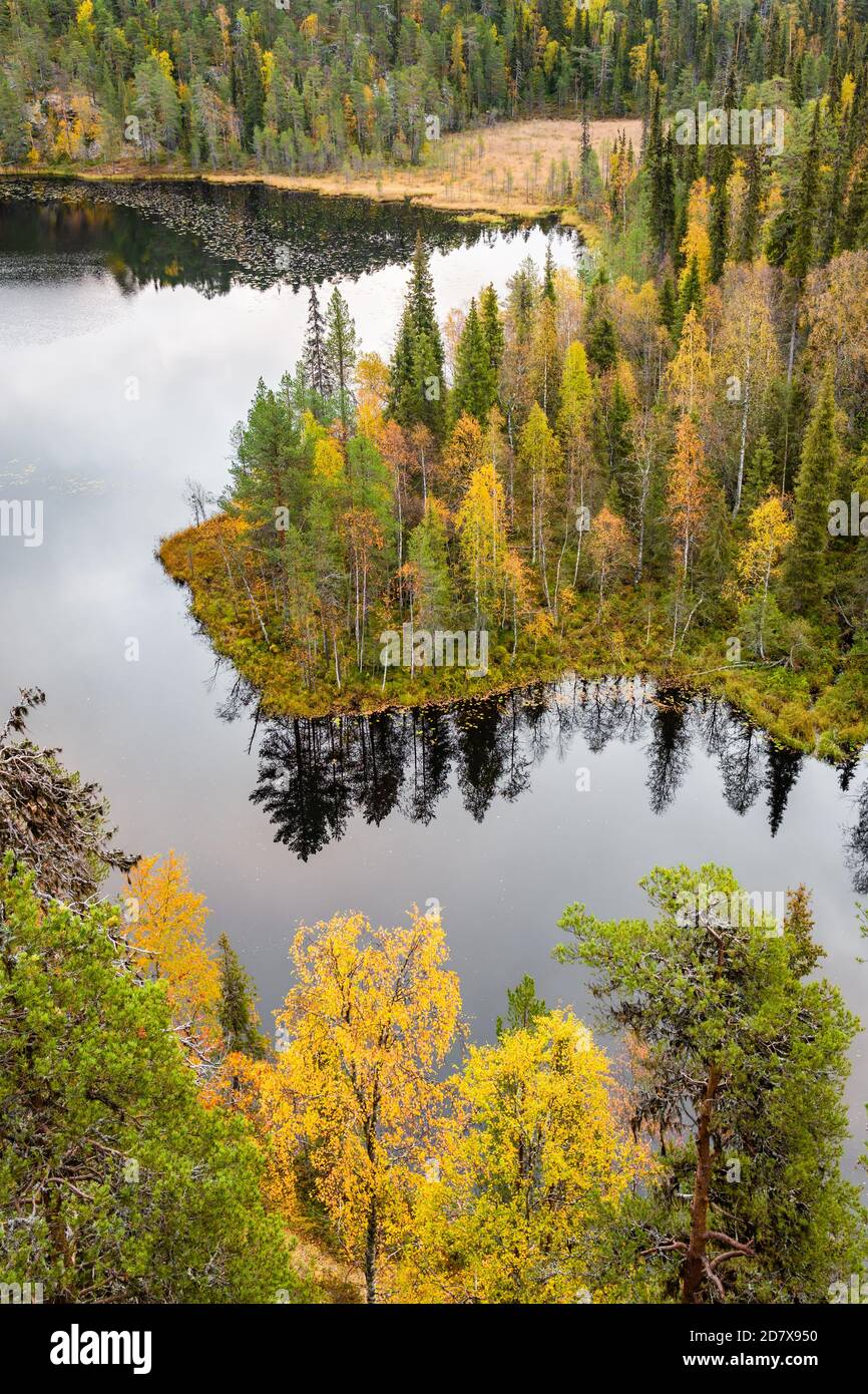Parco Nazionale Repovesi foresta e paesaggio lacustre in Finlandia Foto Stock