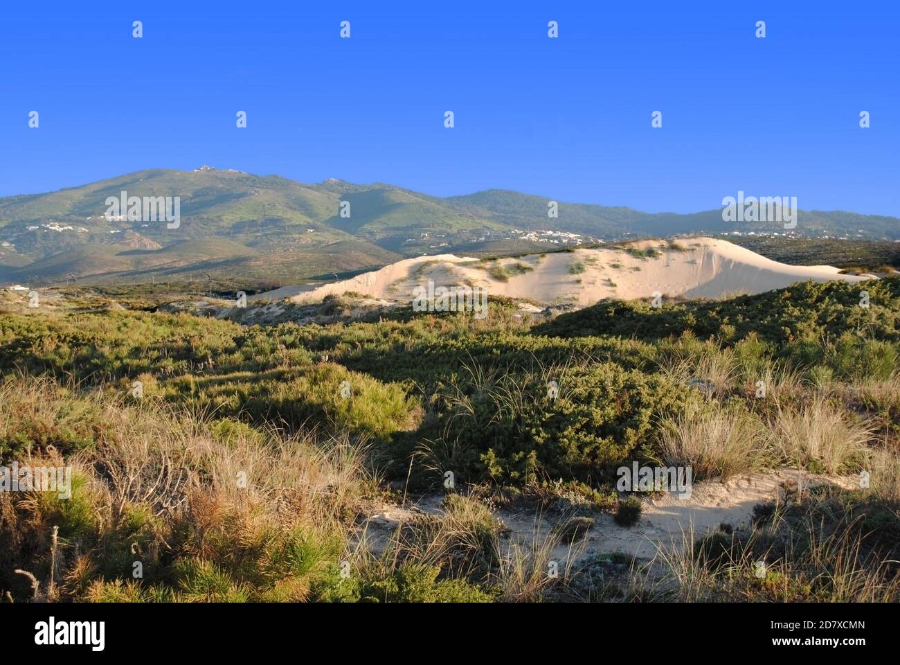 Dune di sabbia con le colline di Sintra sullo sfondo visto dal sistema delle dune di Cresmina, Guincho, Portogallo Foto Stock