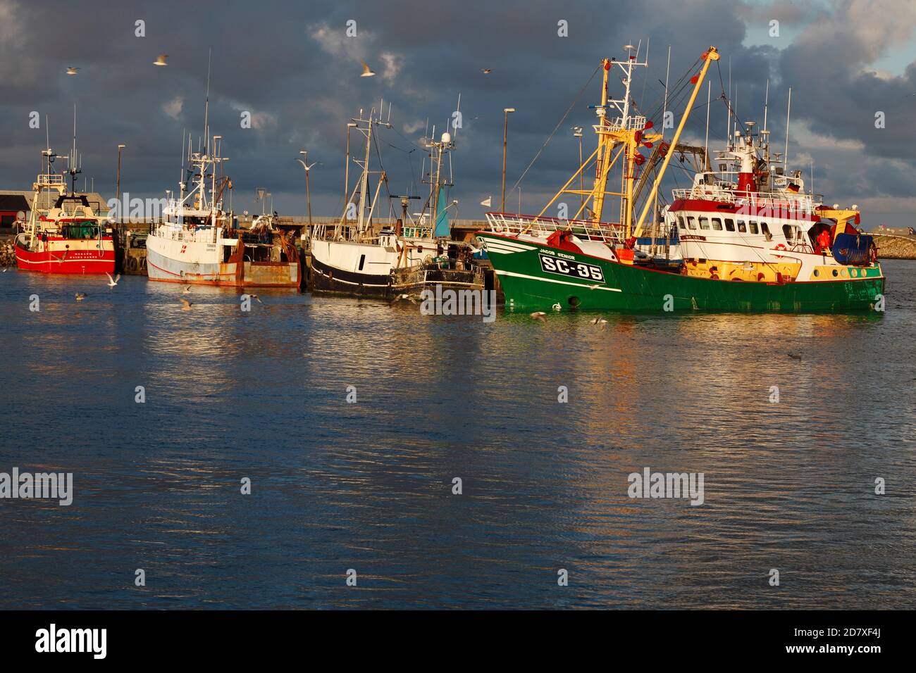 Pescherecci da traino al porto di Hvide Sande, vicino a Ringkøbing, Midtjylland, Ringkøbing-Skjern, Danimarca Foto Stock