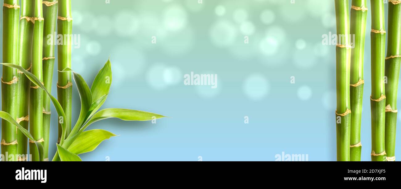 bellissimo sfondo spa con bambù e bokeh Foto Stock