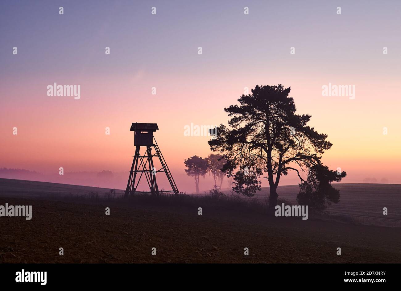 Paesaggio rurale foggy con la sagoma di una torre di osservazione o di caccia su un campo all'alba. Foto Stock