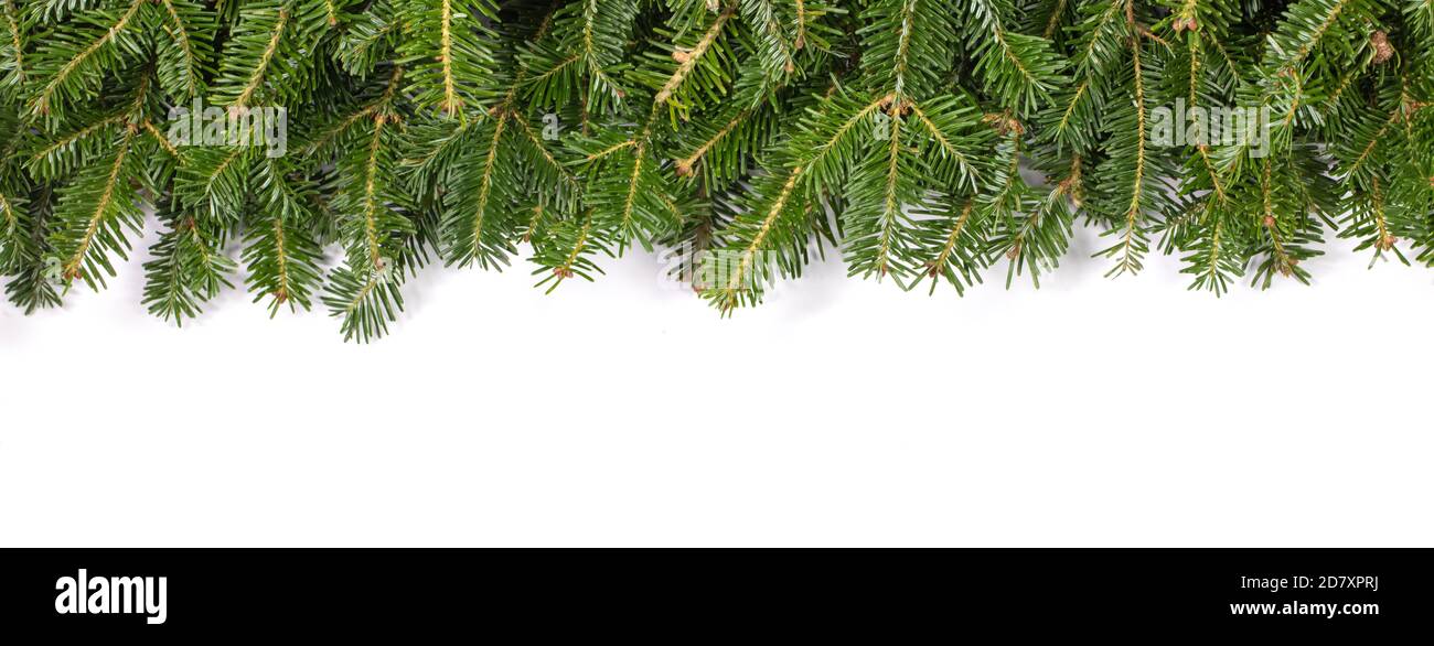 Abete naturale albero di Natale di telaio di frontiera isolati su bianco , copia spazio per il testo Foto Stock