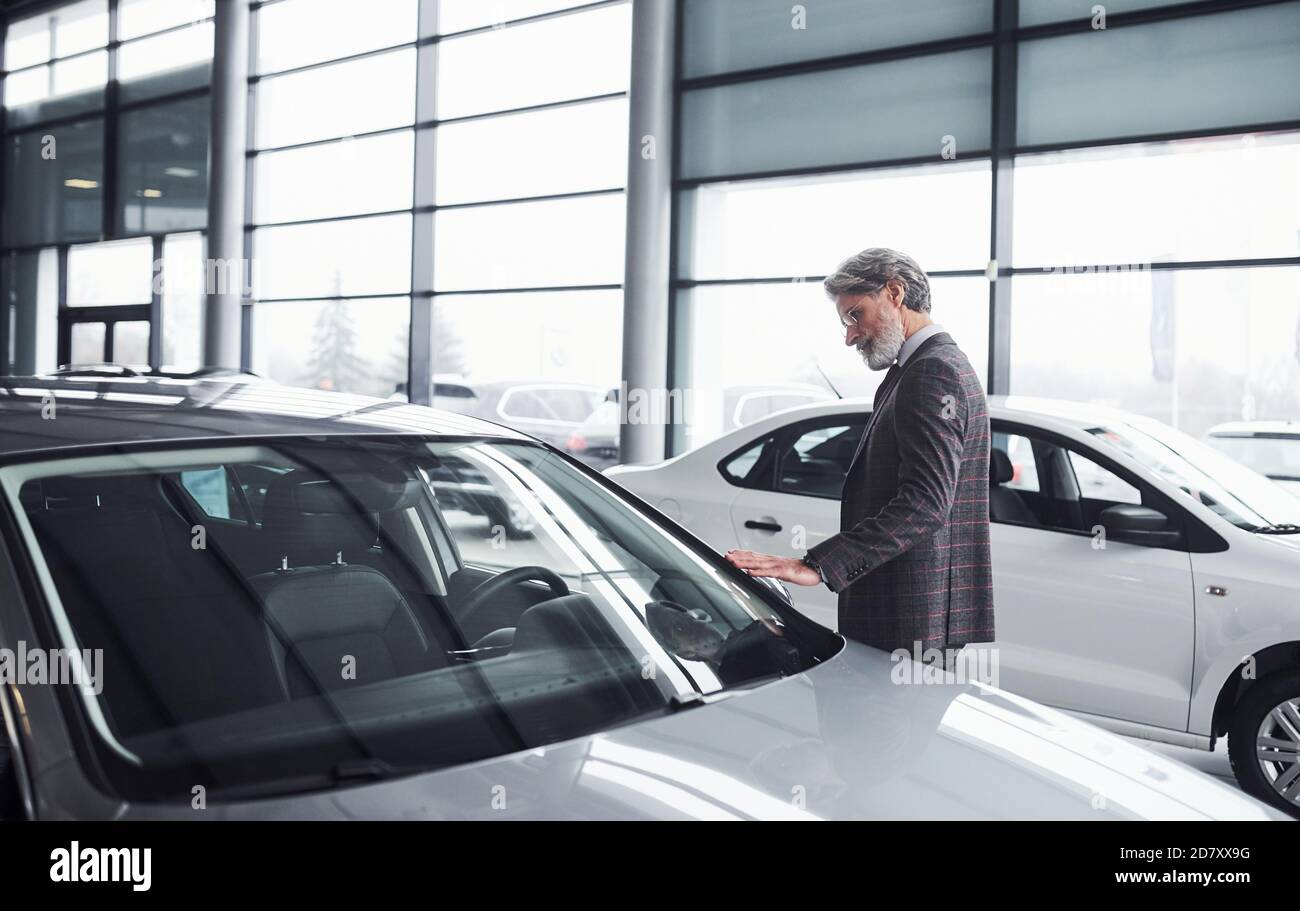 Uomo d'affari senior in abito e cravatta con capelli grigi e. barba che cammina in salone auto e alla ricerca di una nuova auto Foto Stock