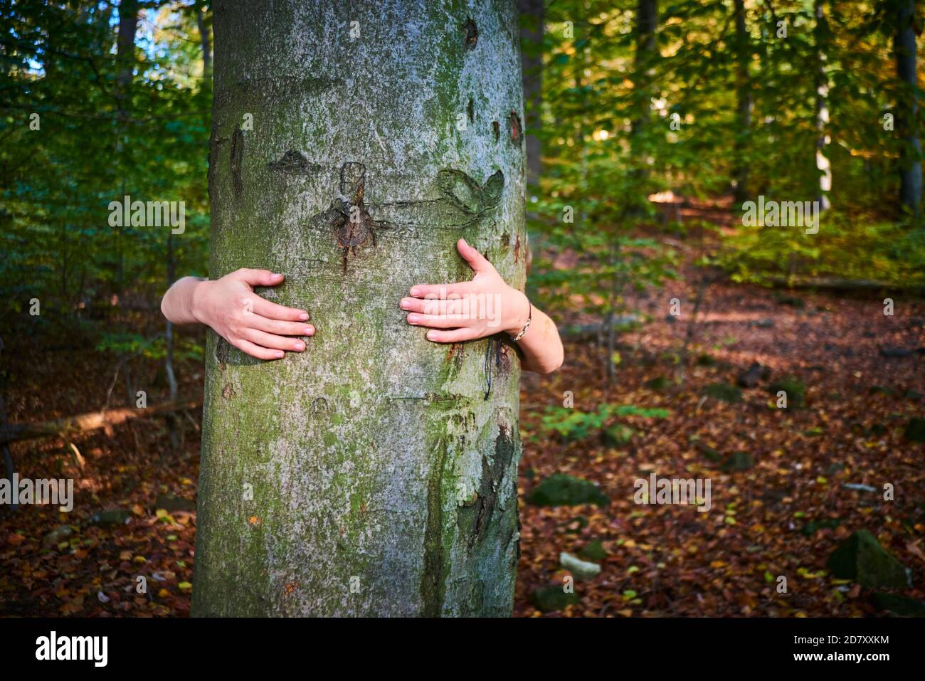 Bambina stare dietro e dare abbraccio ad albero in foresta. Concetto di problema globale dell'anidride carbonica e del riscaldamento globale. Amore per la natura Foto Stock