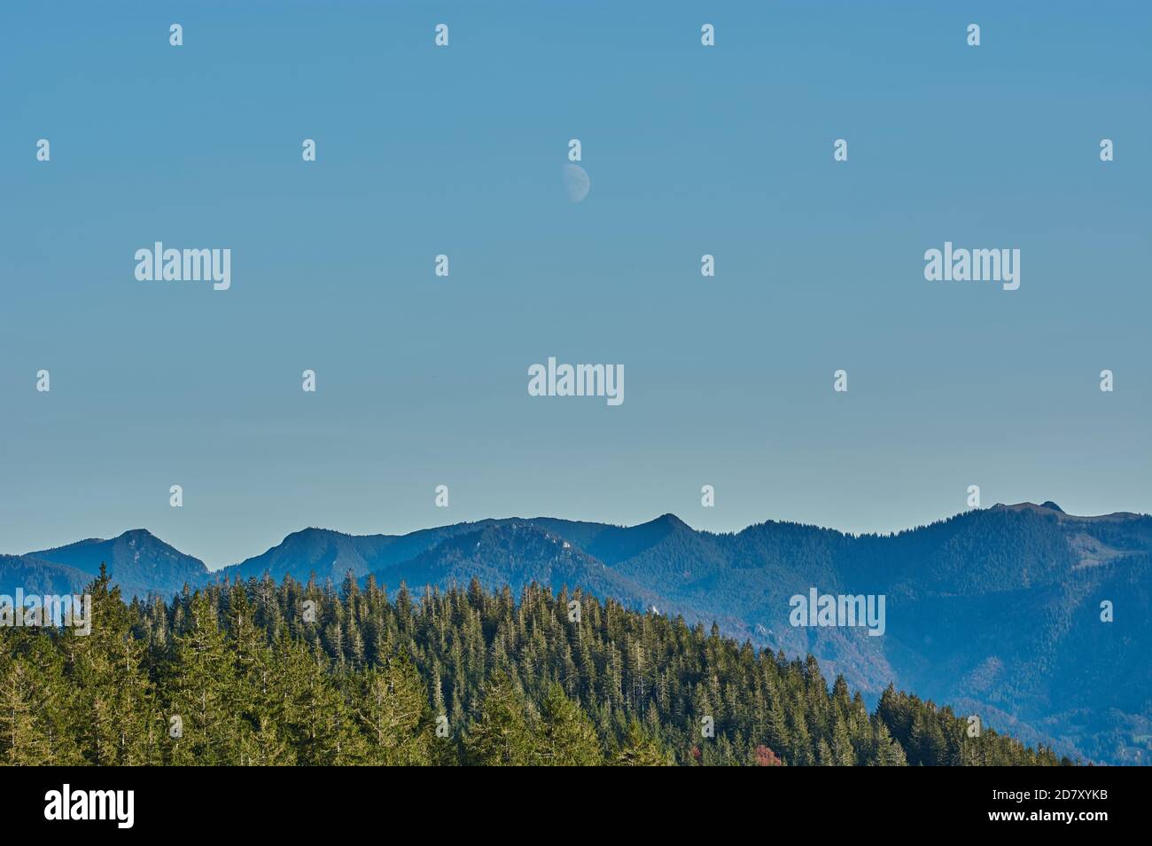 Paesaggio montano panoramico nelle alpi tedesche. Cime innevate delle alpi. Cime innevate di montagna con conifere in primo piano. Foto Stock