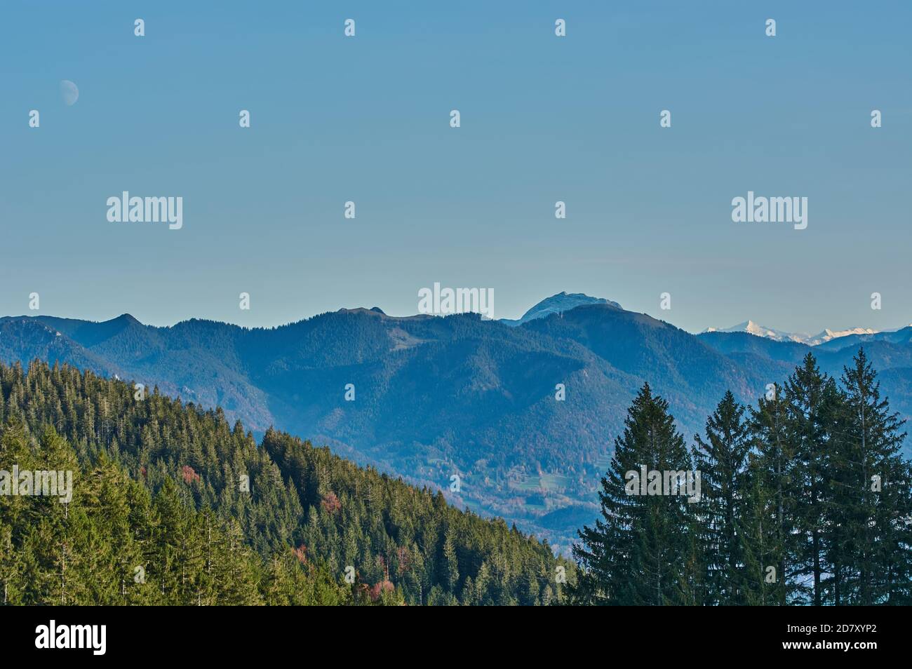 Paesaggio montano panoramico nelle alpi tedesche. Cime innevate delle alpi bavaresi. Cime innevate di montagna con conifere in primo piano. Foto Stock