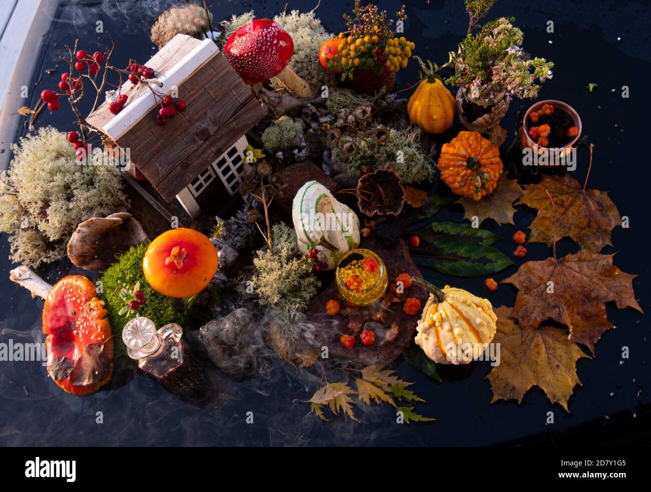 composizione concettuale di halloween in giardino Foto Stock