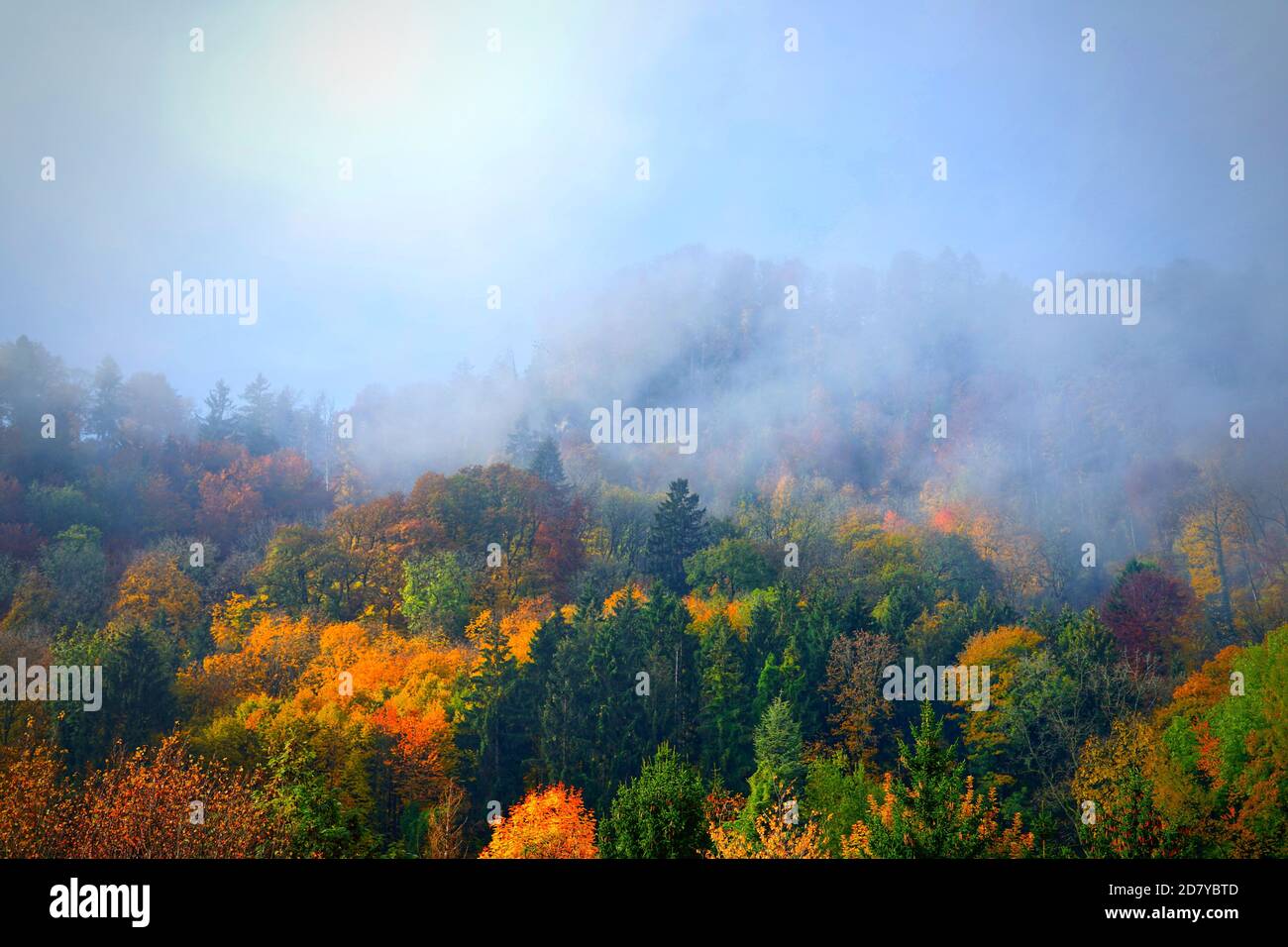 Herbstimmung in der Nähe der Stadt Zürich - umore d'autunno vicino alla più grande città svizzera, Zurigo, Europa Foto Stock